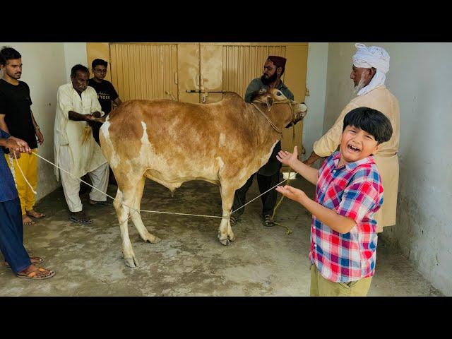 Hamary Raju ki qurbani ho gai  || Ali bht sad ho gaya  || Eid 3rd day ||