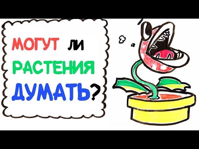 Могут ли растения думать? [AsapSCIENCE]