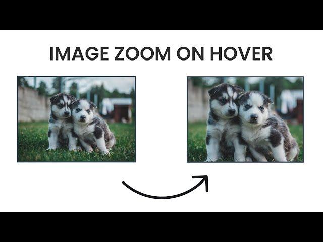 Image Zoom on Hover with CSS | HTML