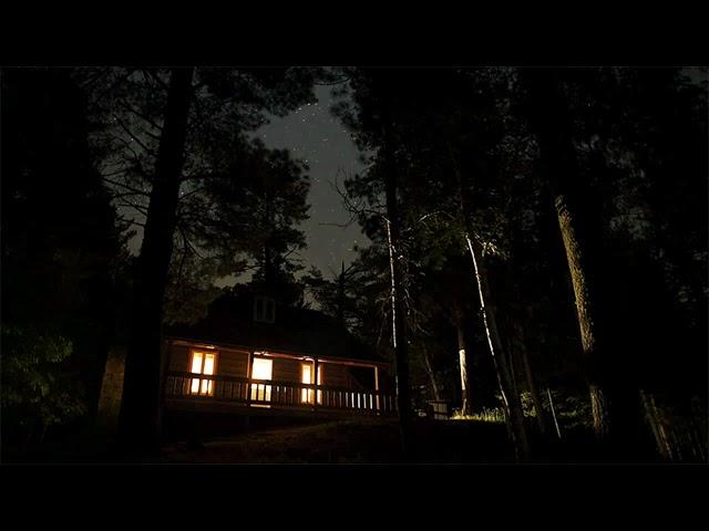 ASMR Nature Sounds - Sleepy Cabin in the Woods 