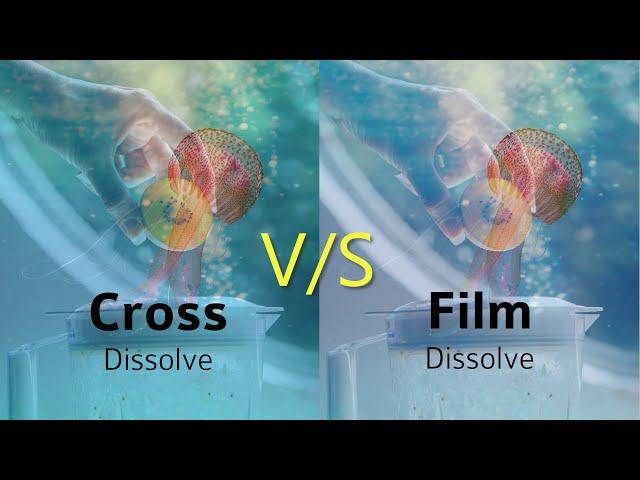 Cross dissolve VS film dissolve transition Pemiere pro | Watch and decide the difference yourself