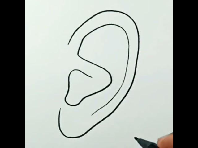 How to draw Human Ear #shorts