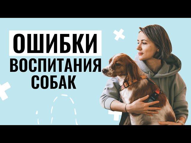 5 ГЛАВНЫХ ОШИБОК В ВОСПИТАНИИ собак, которые мешают достичь результатов!