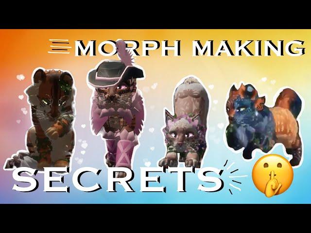 4 Secret Tips that Exp Morph Maker’s don’t Share  | EXP Advice | Valkyrie Studios