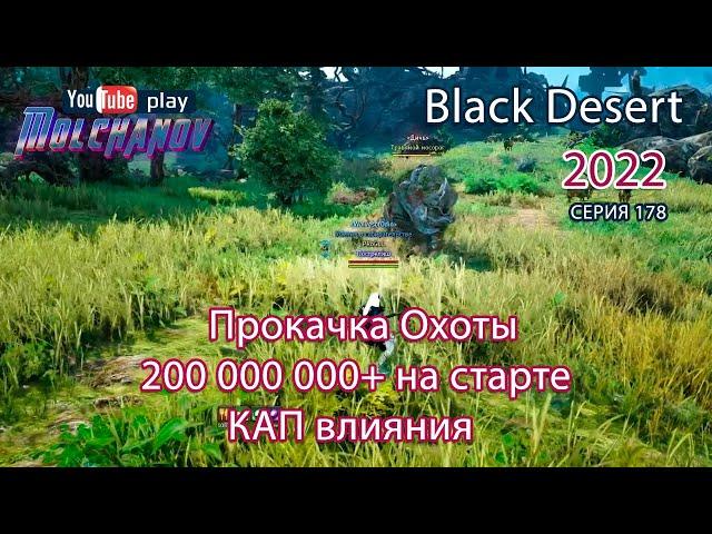 Прокачка Охоты для новичков. Фарм серебра Black Desert 2022. Лучница.