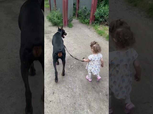 DOBERMANN Reav und meine Tochter ‼️