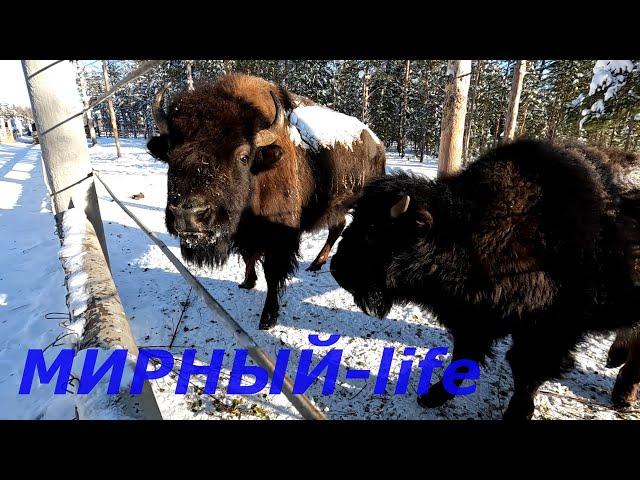 Мирный-life едет  в ЗООПАРК