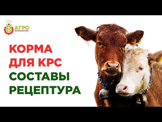 Как делать корма для крупного рогатого скота. Примеры составов кормов.