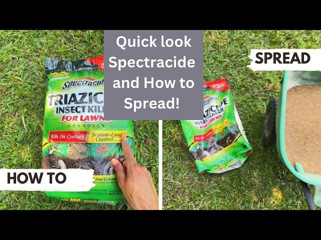 Spectracide Triazicide spreading instructions that work!