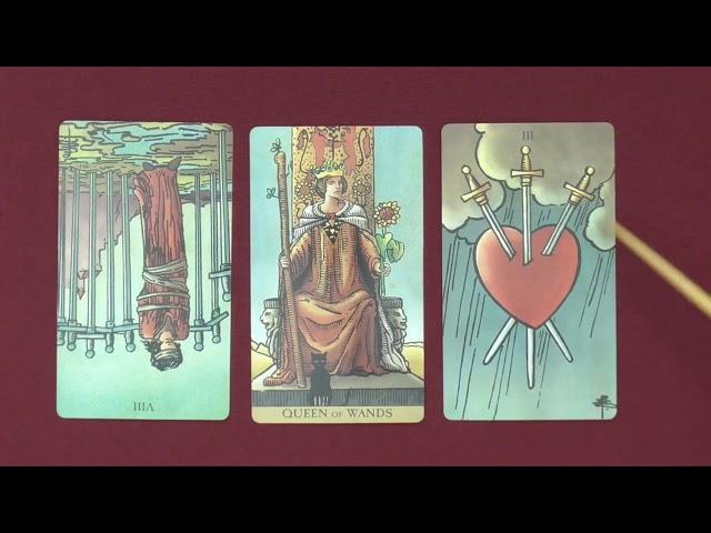 Collective Tarot Wed Dec 25, 2024 ~ Wishing you the happiest of holidays and Merry Christmas!