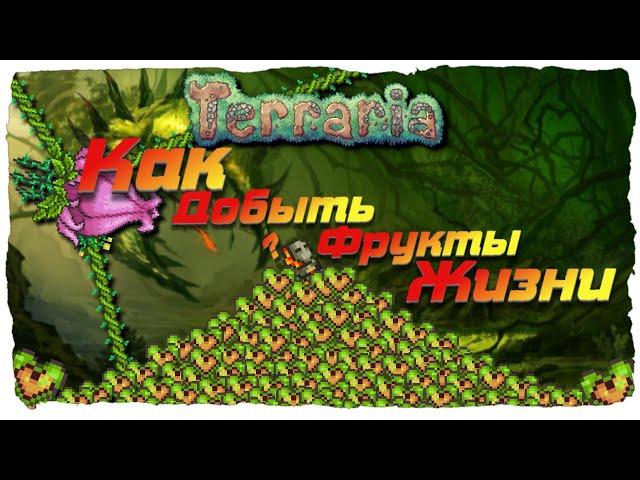 Terraria 1.3.5.3 / Террария 1.3.5.3 [КАК ОЧЕНЬ БЫСТРО И ПРОСТО ДОБЫТЬ ФРУКТЫ ЖИЗНИ!!!]