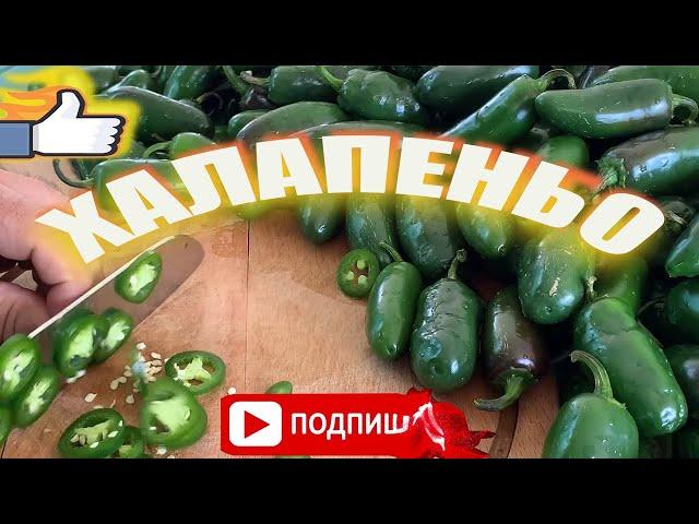 ХаЛапеньо Самый Легкий и Быстрый Рецепт/Лучший РеЦепт Халапеньо /Маринованный Хрустящий Халапеньо /