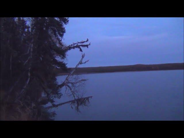 Канадские отшельники. Часть 858. Осенние зарисовки 2024.