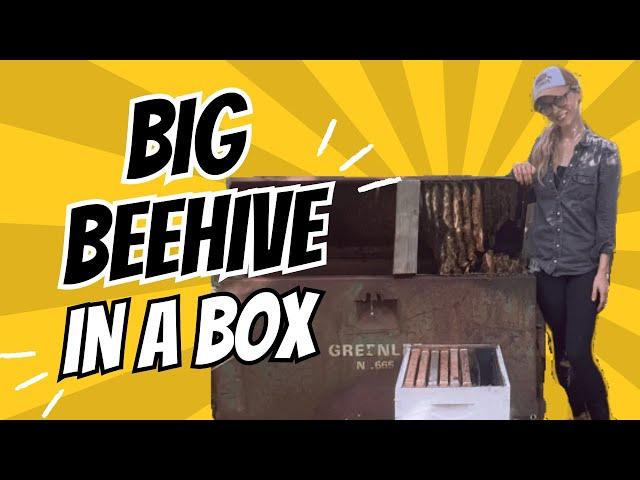 Big Beehive in a Box