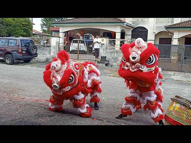 2020CNY lion dance 农历新年2020的舞狮