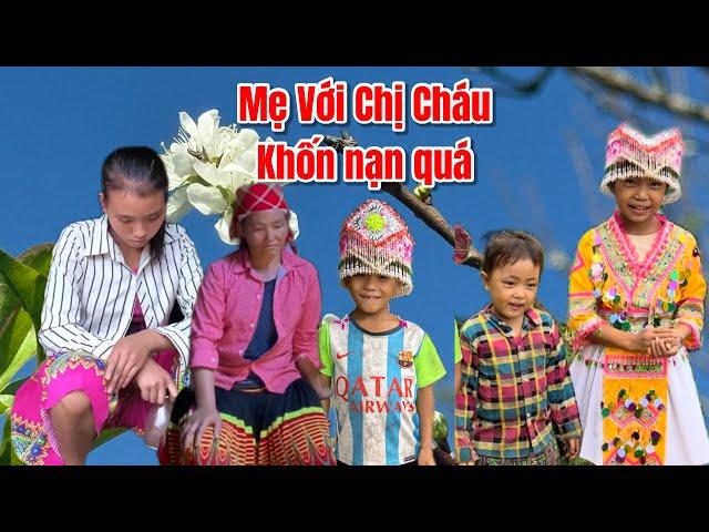 3 Cháu Mồ côi sống trên đỉnh núi người  mẹ và chị gái quá tệ bạc các cháu nhịn ăn không có nơi để về