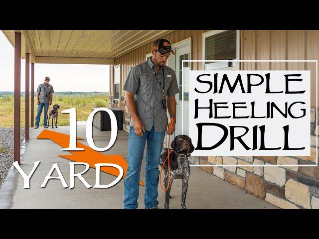 Teach Your Dog To Heel With This Simple Daily Drill