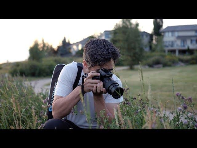 Nikon D7500 Hands-On Field Test