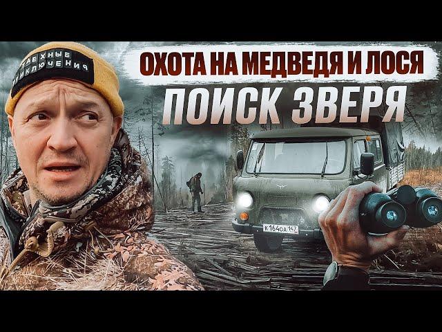 ОХОТА НА ЛОСЯ И МЕДВЕДЯ // КТО ОКАЖЕТСЯ ХИТРЕЕ? ДОБЫЧА ИЛИ ОХОТНИК?