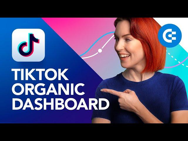 TikTok Organic Dashboard: How to Create and When to Use?