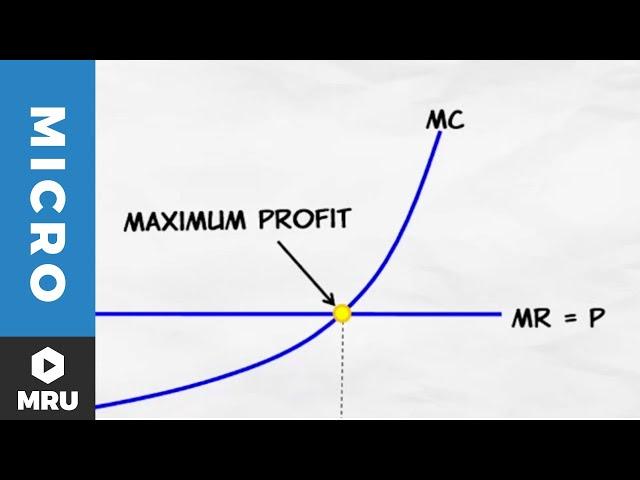 Maximizing Profit Under Competition