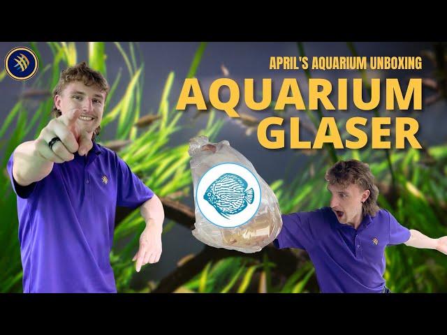 Unboxing New Arrivals: Glasser shipment at April's Aquarium