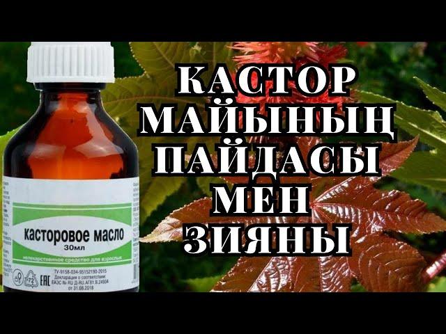 Кастор майының пайдасы мен зияны | Кастор майы АҒЗАҢЫЗДЫ ТОЛЫҚ ТАЗАЛАЙДЫ МА әлде МИФ ПА?