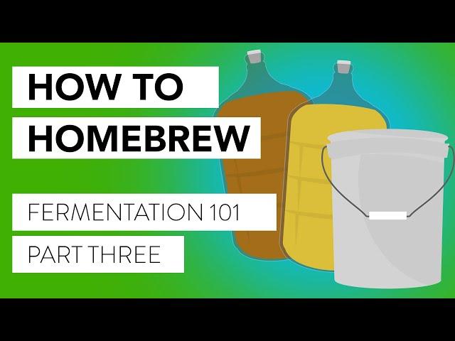 So You Want to Brew! Our Intro Course to Brewing and Fermentation | Part 3: Fermentation