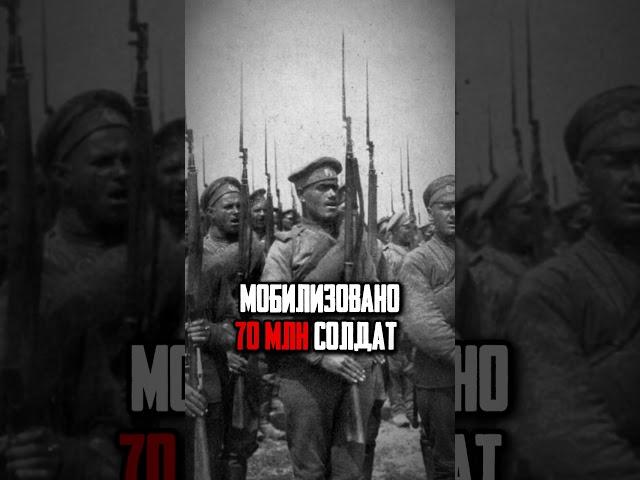 Первая мировая в цифрах: шокирующая статистика