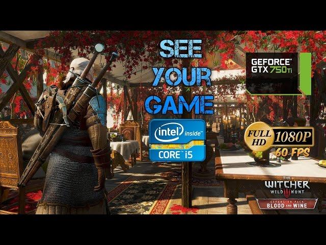 The Witcher 3: Wild Hunt - Blood & Wine - Benchmark | i5 4460 3.2 GHz | 8GB RAM | GTX 750 Ti OC