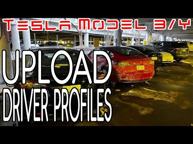 Tesla Model 3/Y - Upload Driver Profiles