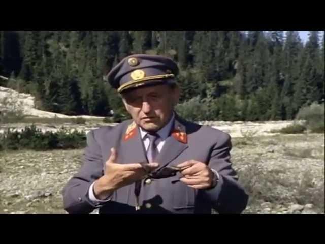 Der Bergdoktor (1992) - Staffel 2 Folge 10