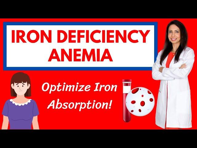 Iron Deficiency Anemia: Symptoms, Root Causes, and Strategies to Optimize Iron Absorption