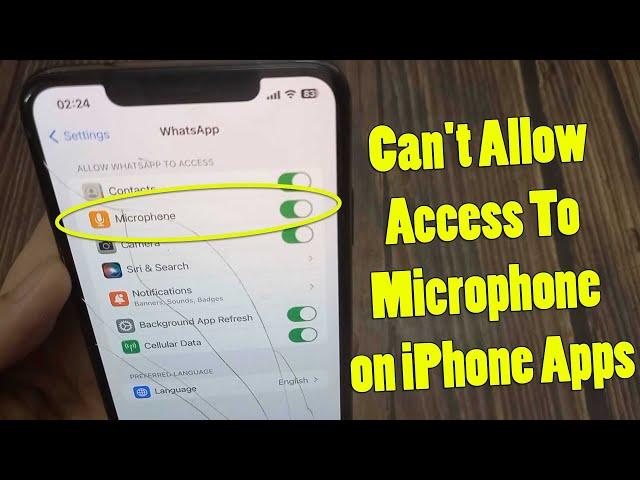 (SOLVED) Can't Allow Access To Microphone on iPhone Apps