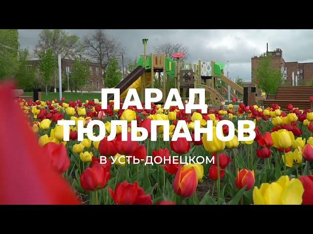 Парад тюльпанов в Усть Донецком