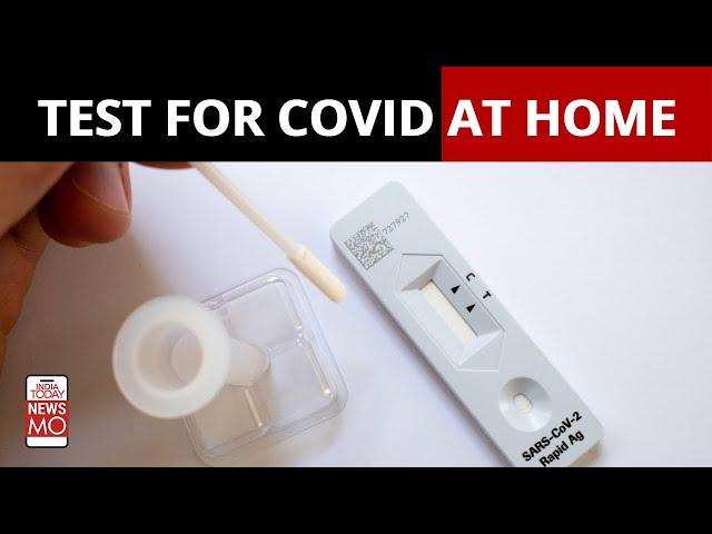 Covid Home Testing Kits: How To Use Them & Are They Reliable? | NewsMo