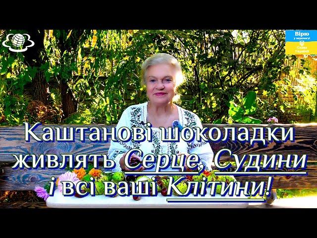 Каштанові шоколадки живлять Серце, Судини і всі  ваші Клітини!