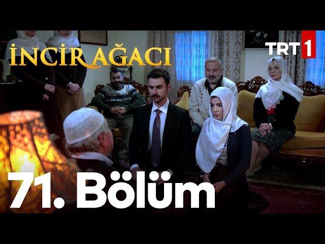 İncir Ağacı 71. Bölüm