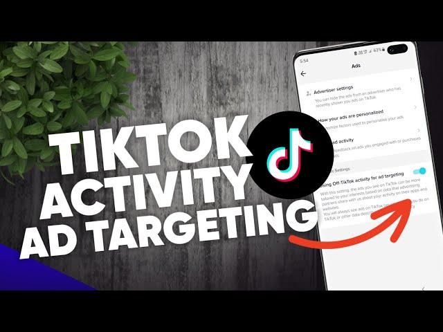 How to turn on using off Tiktok activity for Ad Targeting