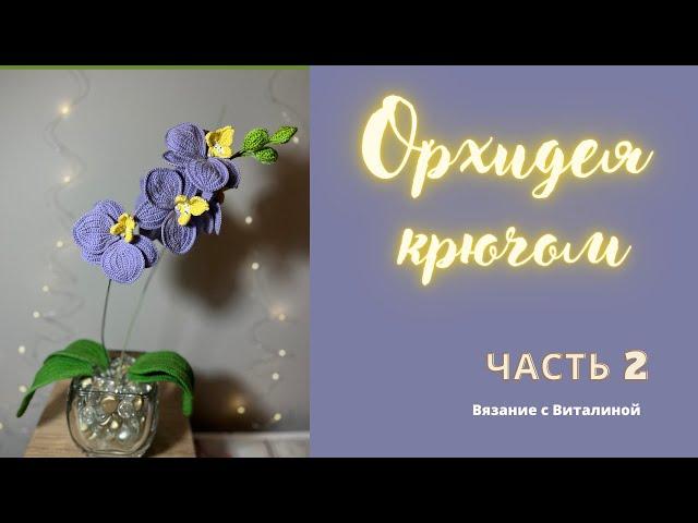 Орхидея крючком. Часть 2.