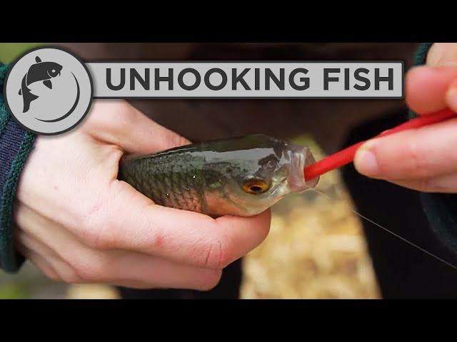 How to Unhook a Fish with a Disgorger