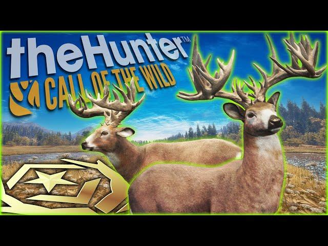 NO WAY THIS HAPPENED! Double Great One Whitetail Deer! (Crazy Shots!) Call of the wild