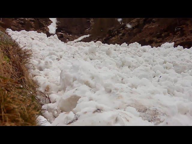 Valanga impressionante all'Alpe Nave in Valle dei Ratti