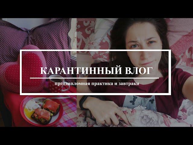 Карантинно-кулинарный Влог | Пицца без духовки. Кабачковые оладьи. Преддипломная практика.