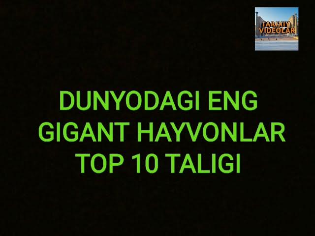 Sayyoramizdagi gigant hayvonlarning top 10 taligi #Titanaboa #Tarix