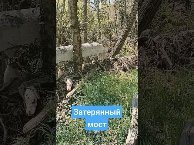 Мы нашли затерянный мост! Тюменский, Туапсинский район 