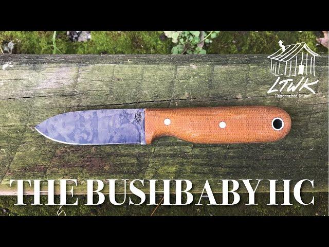 Bushbaby HC Commercial