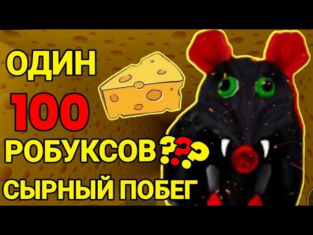 Сырный лабиринт роблокс но если словят трачу РОБУКСЫ Как пройти cheese escape roblox Чейз Play