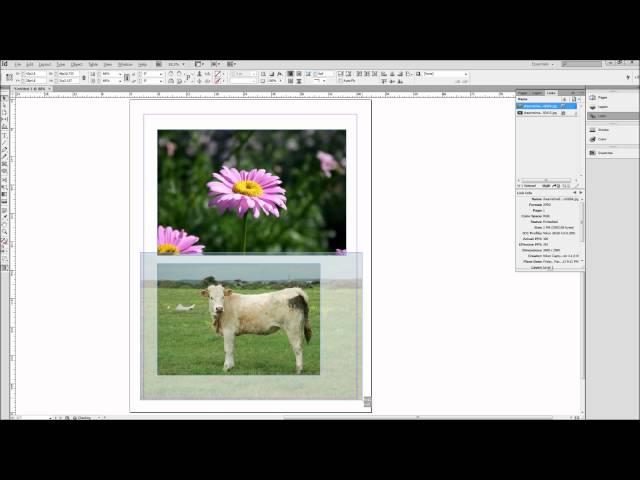 InDesign Tutorial: Working with Images -HD-