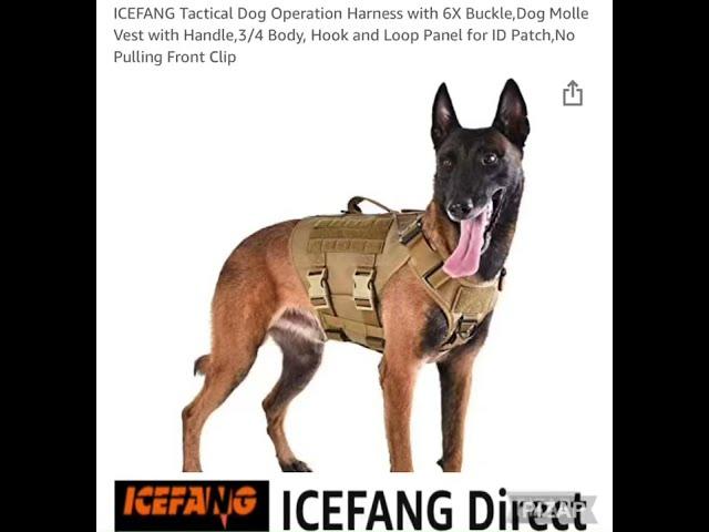 New ICEFANG Tactical Dog Vest review. Initial thoughts.